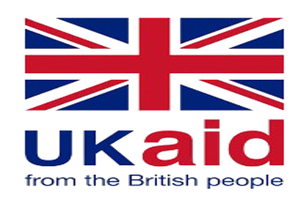 dfid removebg preview