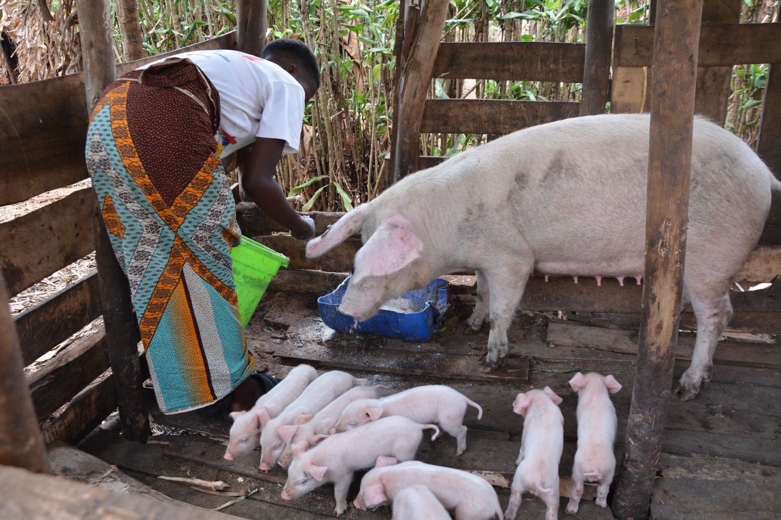 whatsapp image 2026 01 14 at 15.59.19